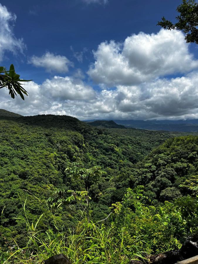 Las Cabanas Del Frances Alto Boquete Экстерьер фото